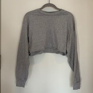 Aritzia/Tna Grey Long Sleeved Crop Top